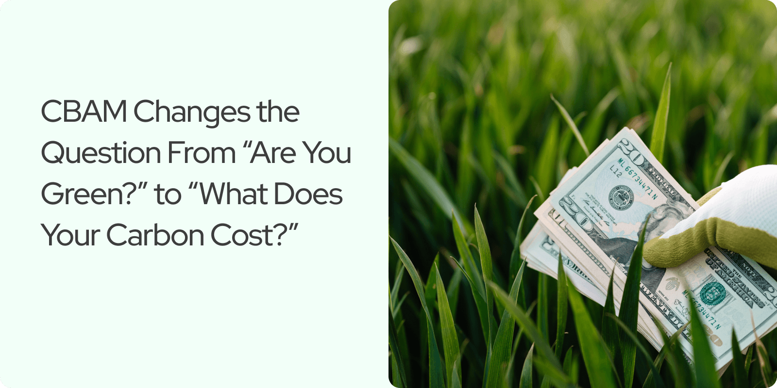 CBAM Changes the Question From “Are You Green?” to “What Does Your Carbon Cost?”